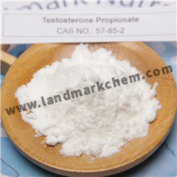 anabolic steroid testosterone propionate fast-acting with bodybuilder