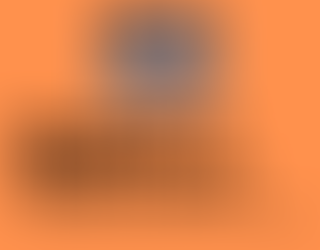 Radical Reformers ep.19: Donna Hall, Former Chief Executive, Wigan