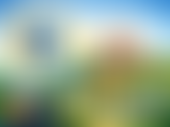 Finance and Resource Leadership: The essential lever for Radical Place Leadership