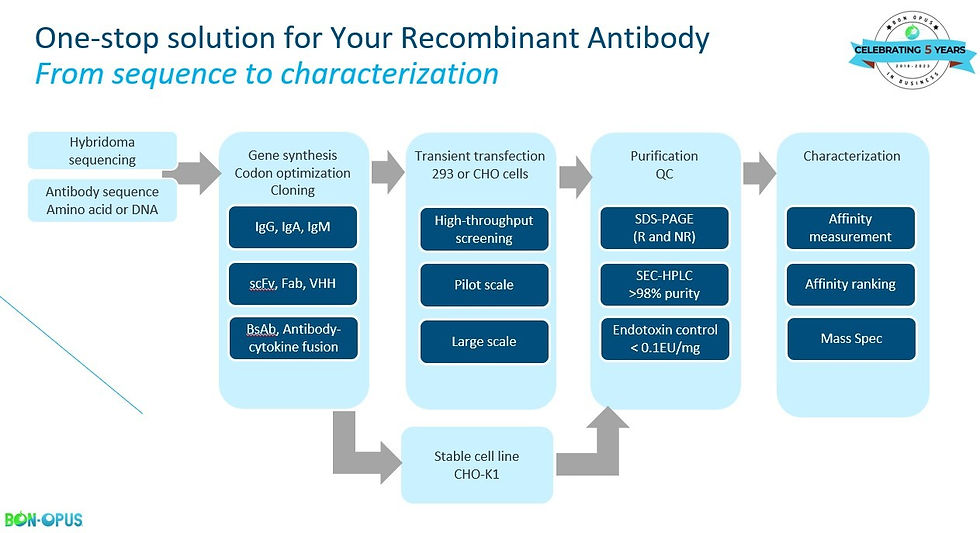 Bon Opus one-stop mAb solution