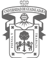 logo_udg-gris.png
