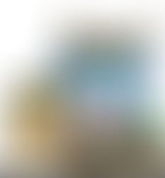 Picture of a blue trash can and paper bag filled with yard waste, sitting next to a small bundle of sticks.