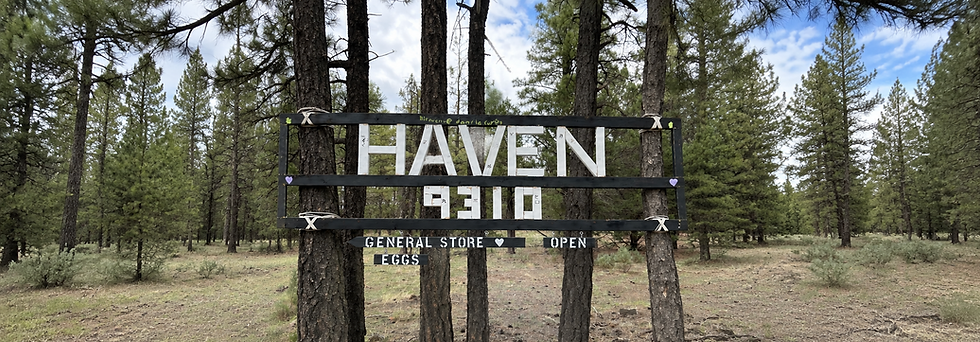 Outdoor signage photography showing a wooden sign reading 'HAVEN 9310' hung between trees with additional text promoting a general store and fresh eggs. The setting is a rustic, natural outdoor area.