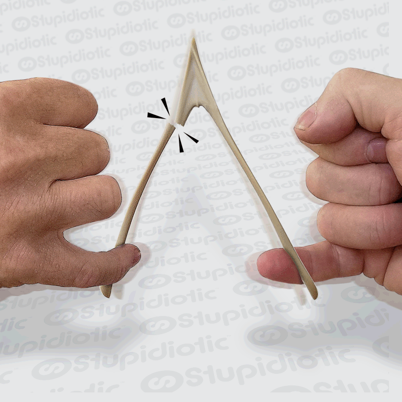 Lucky Wishbones stupidiotic