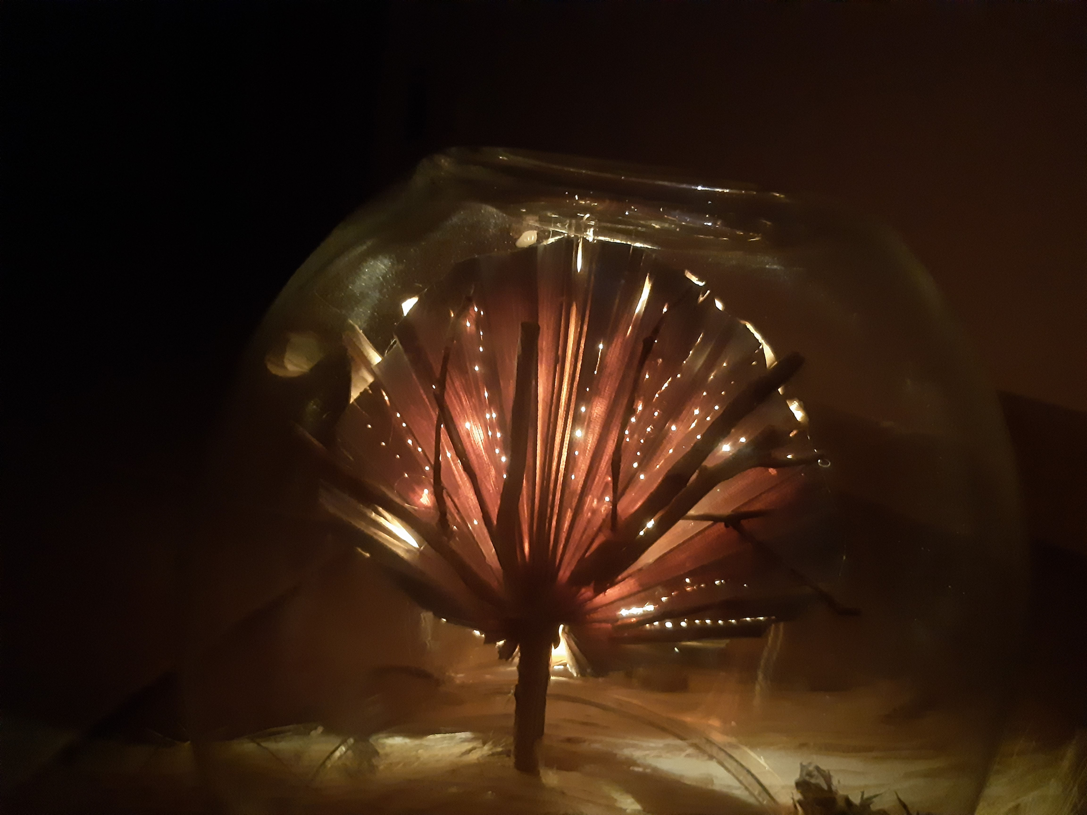 Sphère arbre lumineux