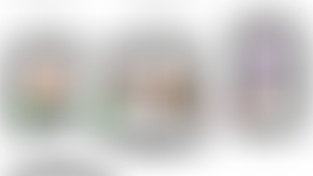 Comparatif de pain de mie 🍞