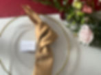 napkin rentals linen rentals wedding rentals grand rapids detroit grand blanc rockford traverse city lansing ann arbor ada