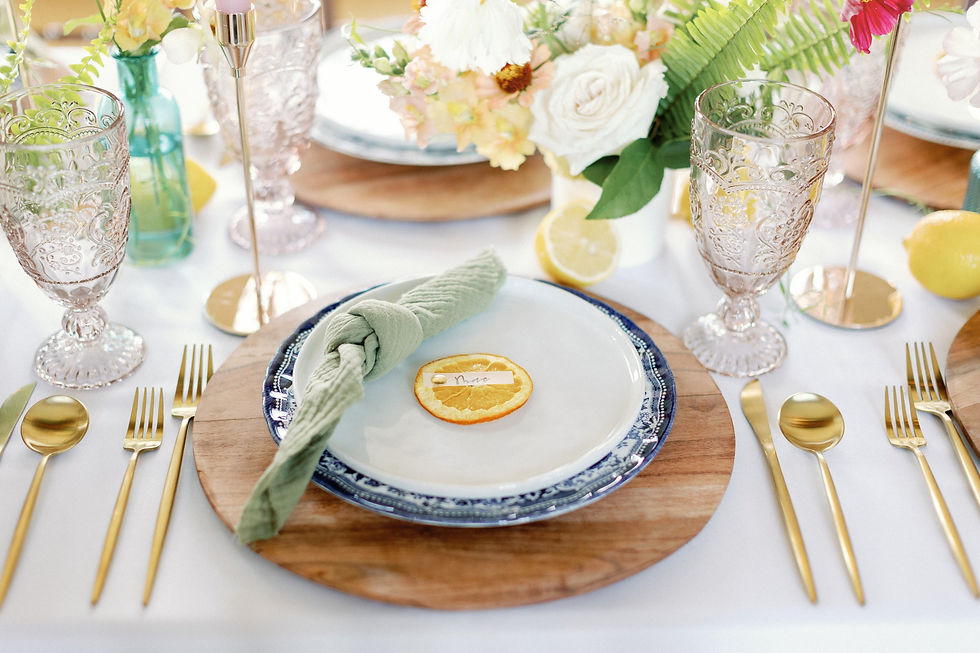 Michigan Rental of blue and white french style china plates in Michigan