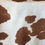 Thumbnail: brown tan beige ivory cow animal print patterned table linen tablecloth rental michigan event party rental wedding detroit