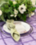 linen and party rental in grand rapids detroit ann arbor birmingham lansing royal oak forest hills michigan