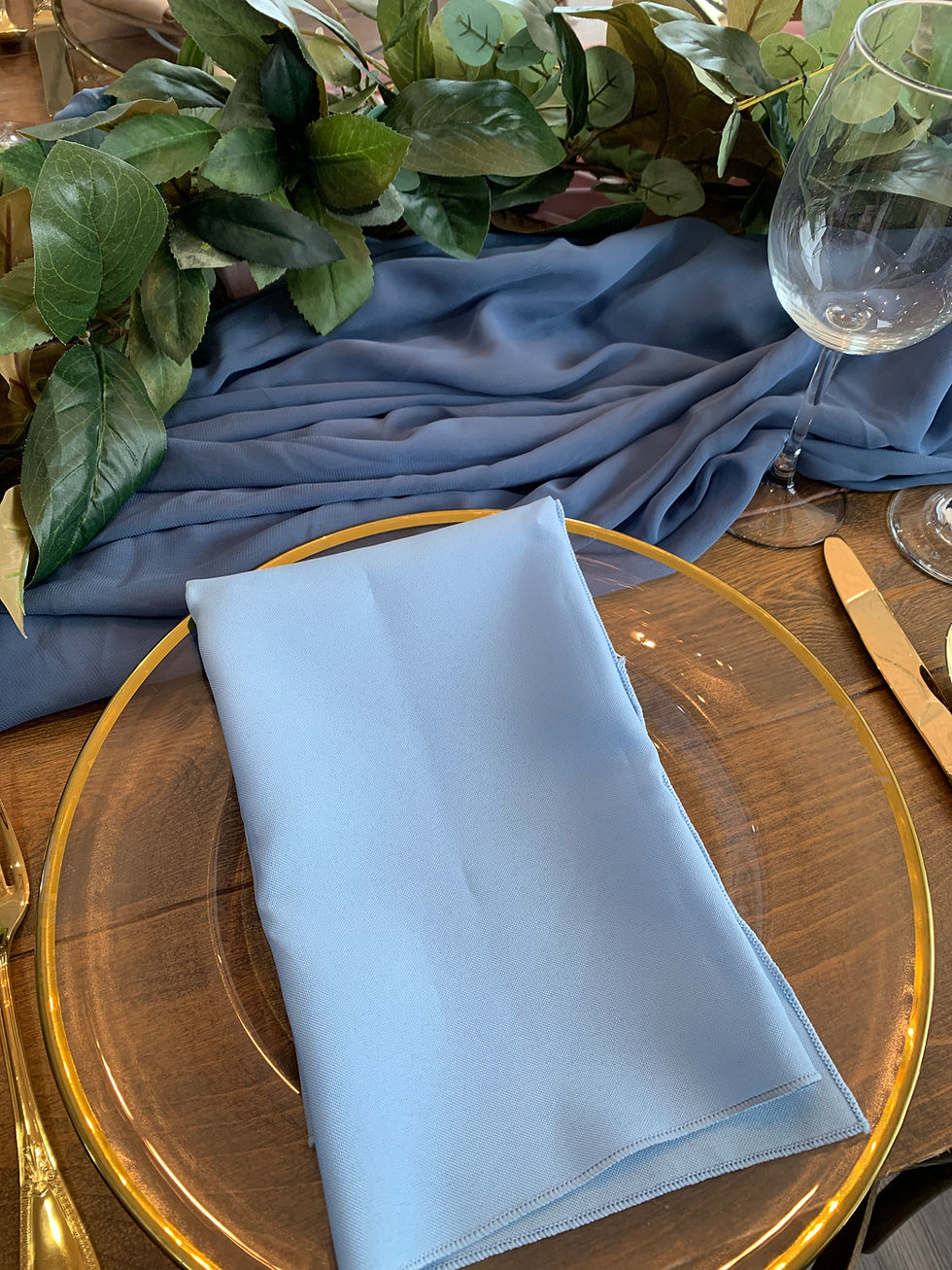 Thumbnail: light baby blue napkin rental tablecloth rentals grand rapids forest hills rockford kentwood traverse city charlevoix holland
