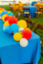 Cobalt Blue birthday party rental of table cloth, chairs for corporate event in Michigan