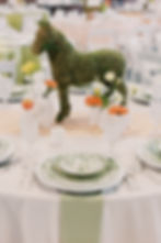 sage light olive green thick napkin rental on table for Derby fundraising event in Michigan