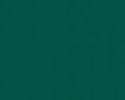background verde.jpg
