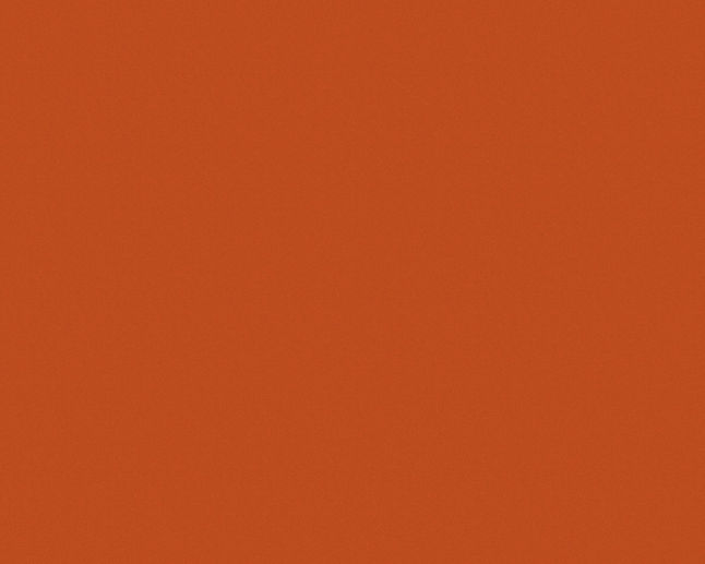 background laranja.jpg