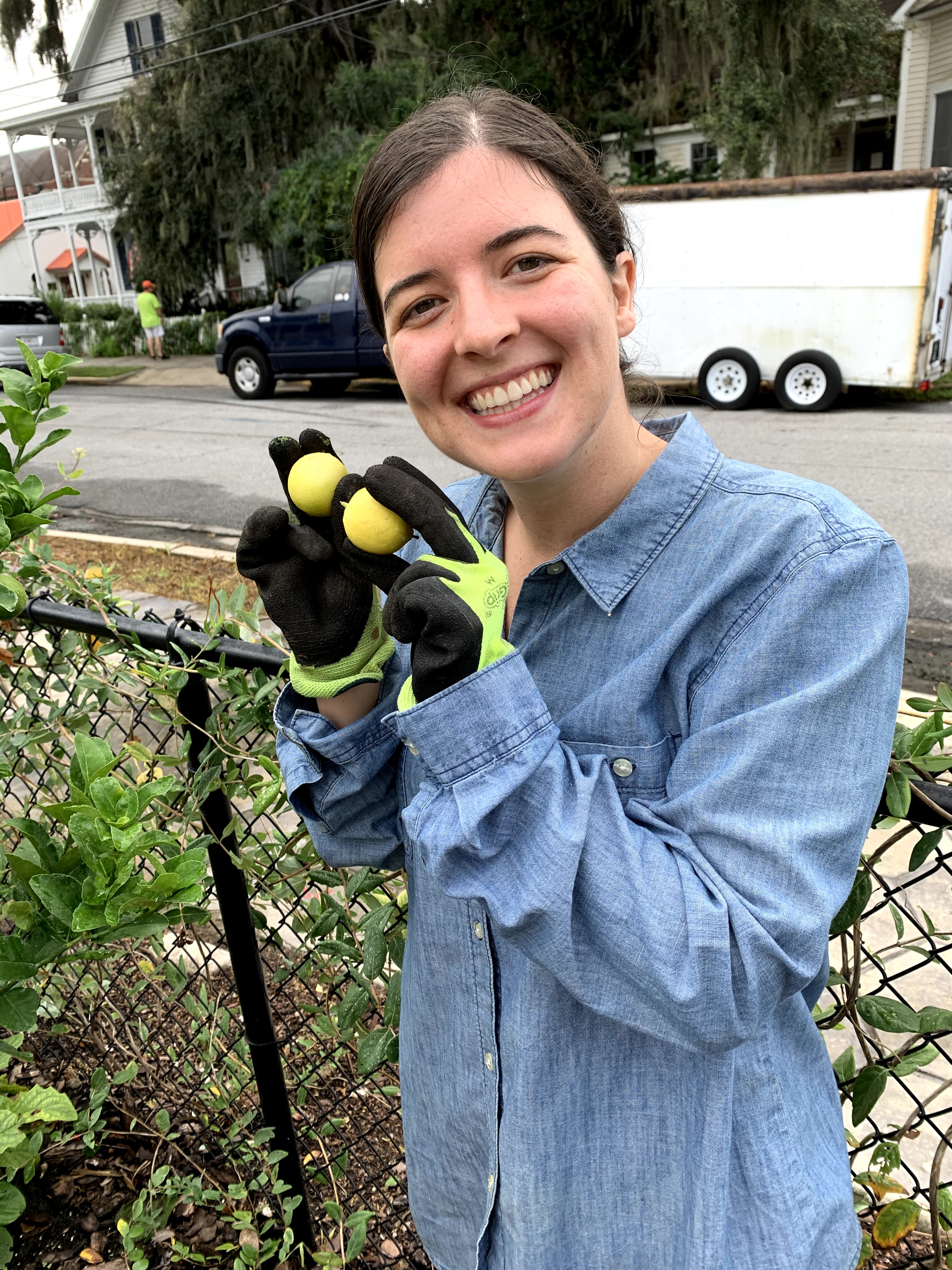 St. Mark's Giving Garden - Volunteer