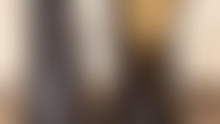 ファスナー交換、内革補修