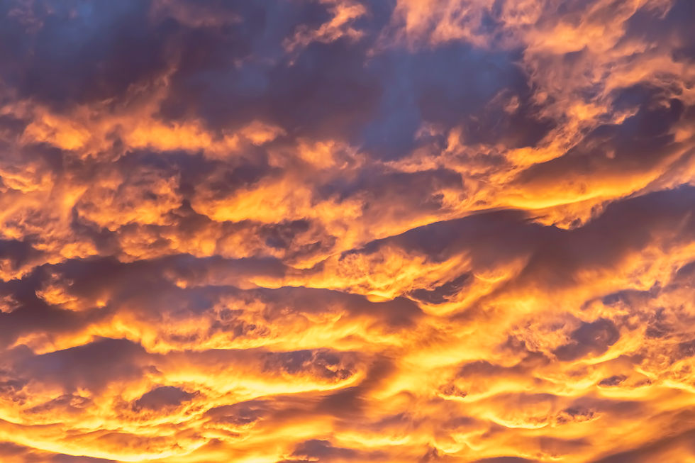 landing_bruiz_photos_sunset.jpg