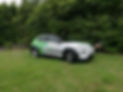 Kona EV Biosecurity Car.JPG