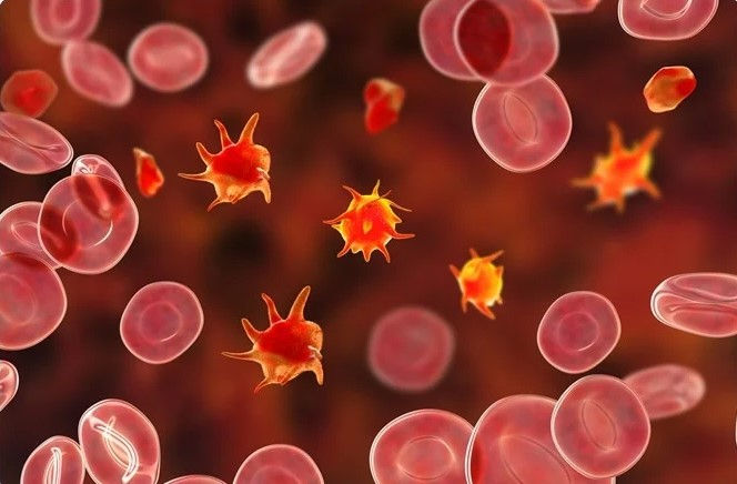 Diagnosing Bernard Soulier Syndrome with RIPA Testing