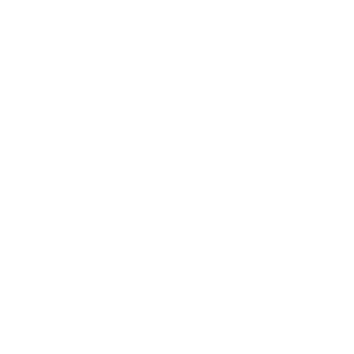 DHTZ Logo weiß.png