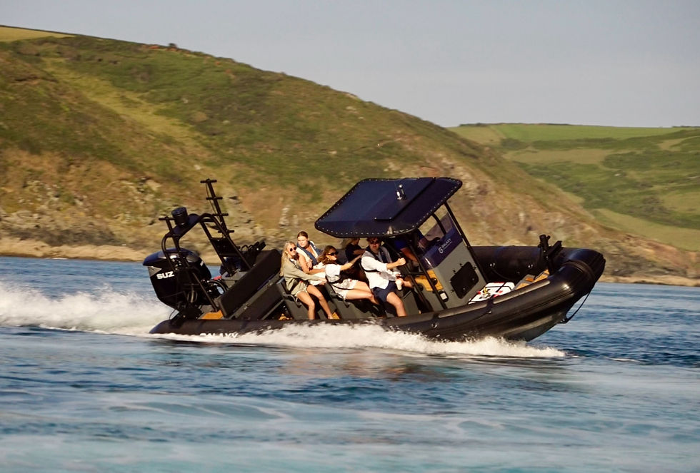 Salcombe Crab Fest Weekend - Friday