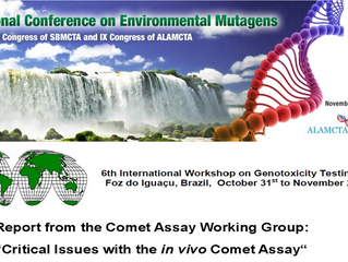 Helix3 participates as expert panel member at the IWGT on the comet assay in Brazil