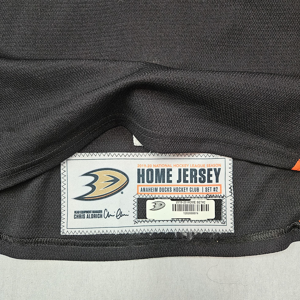 Thumbnail: Troy Terry Anaheim Ducks 2019-20 Set 2 Game-Worn Jersey