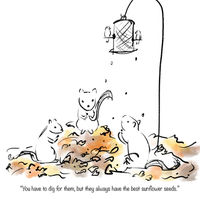 Three squirrels under a bird feeder eating sunflower seeds. Caption: You have to dig for them, but they always have the best sunflower seeds.