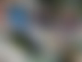 Sortida al Parc Güell