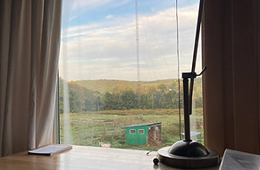 Window View.jpeg