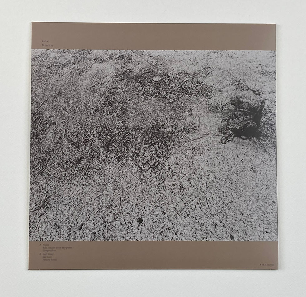 サムネイル： Blind sky / LP