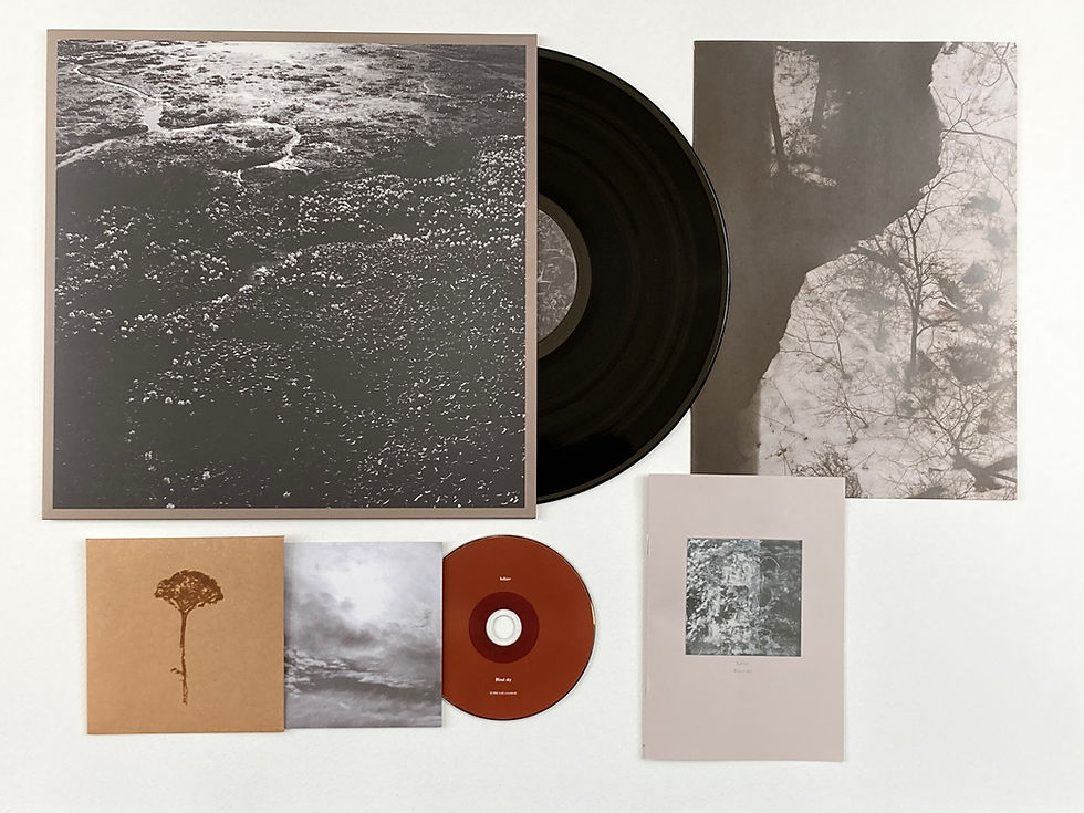 Blind sky / LP