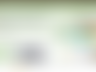 Manual Do Usuário Digital