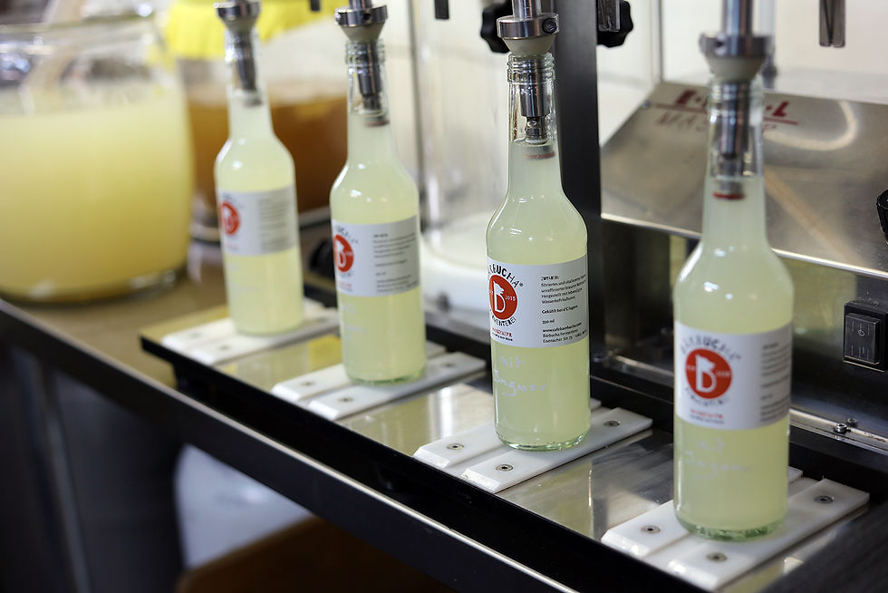 Bärbuchas Wasserkefir Abfülung
