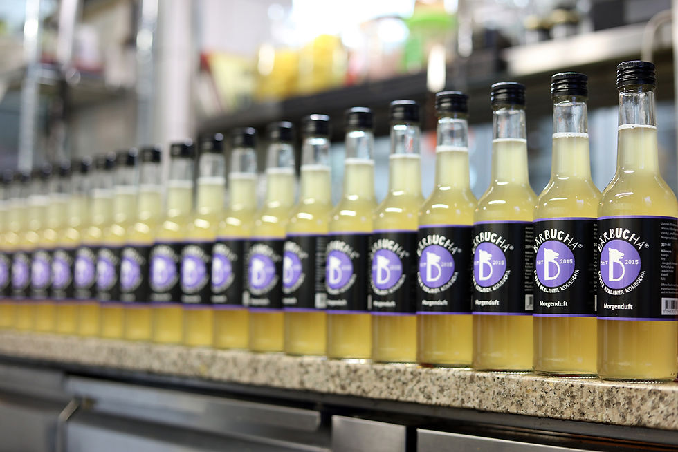 Morgenduft Bärbucha Kombucha zum Kaufen