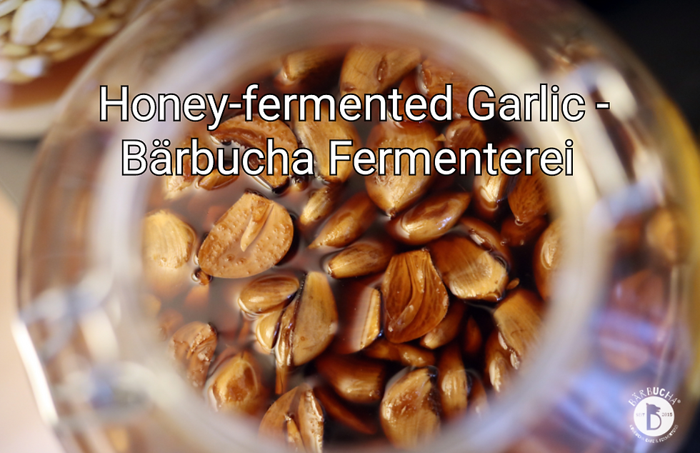 Honey Fermented Garlic - Bärbucha Fermenterei