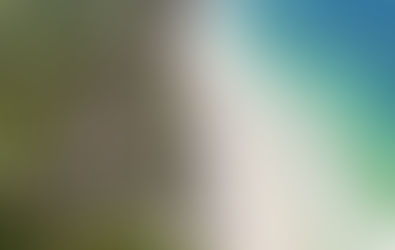 Cómo Las Tendencias Ecológicas Están Moldeando El Futuro De Los Desarrollos Inmobiliarios En La Riviera Maya