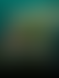 Tren Maya, aeropuerto internacional y vuelos directos desde Canadá: por qué la Riviera Maya ya no es una apuesta, es una certeza