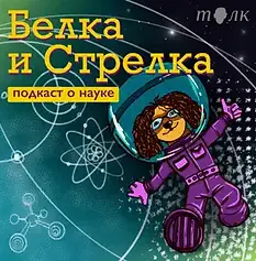 белка и стрелка