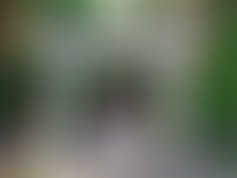 Toriimoto Hachimangu Shrine