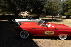 Brian_Thunderbird_50th (4 of 20)