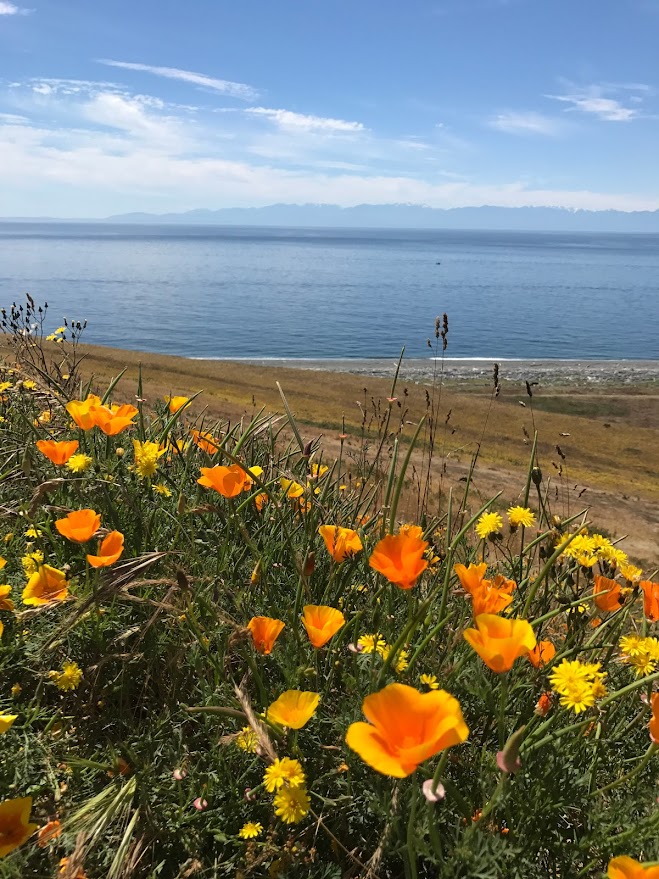 San Juan Islands