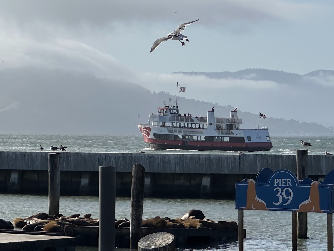 Fisherman's Wharf