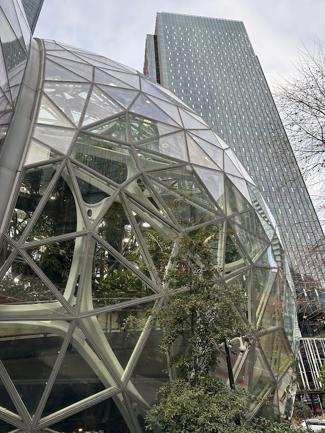 Amazon Spheres