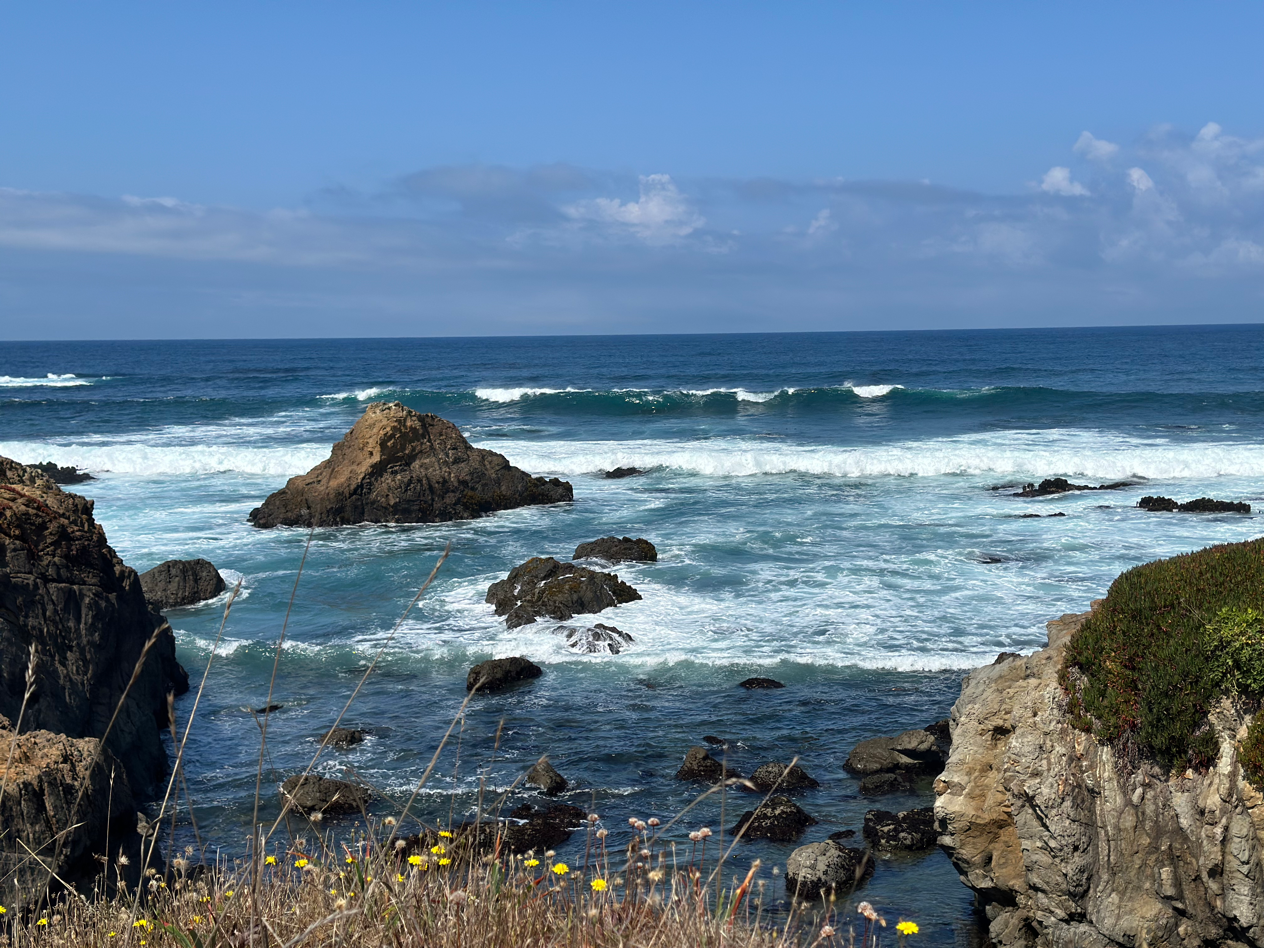 Mendocino Farm-to-Table
