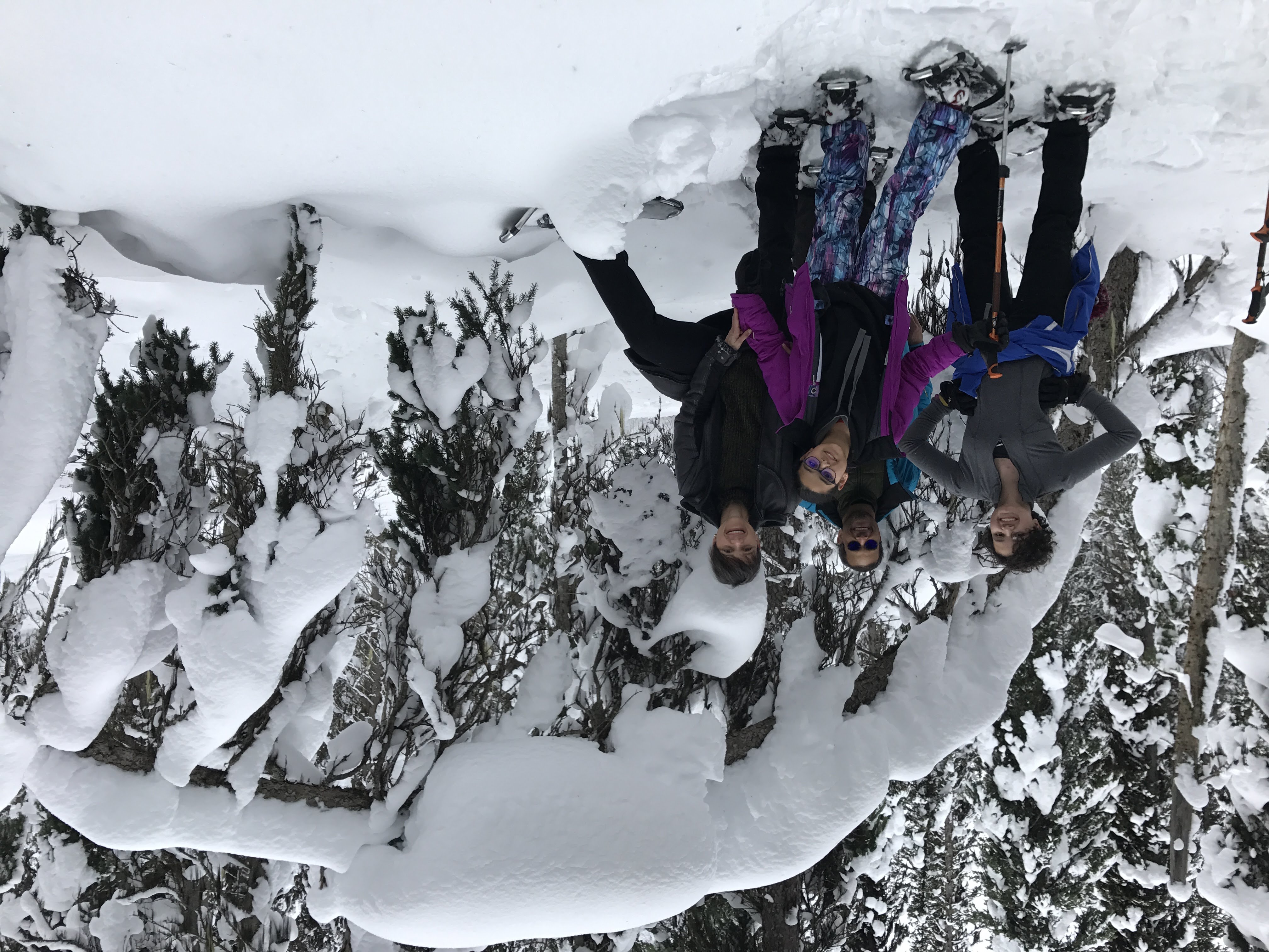 Snowshoeing at Lake Louise