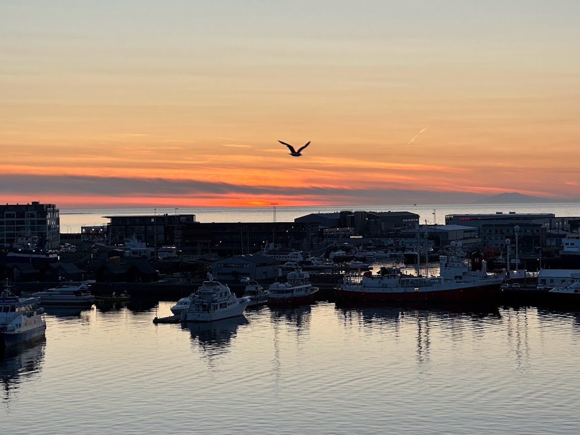Reykjavík Harbor