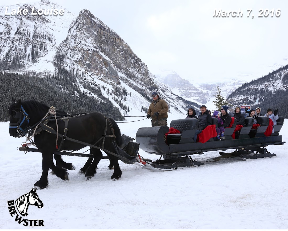 Sleigh Bells in Lake Louise