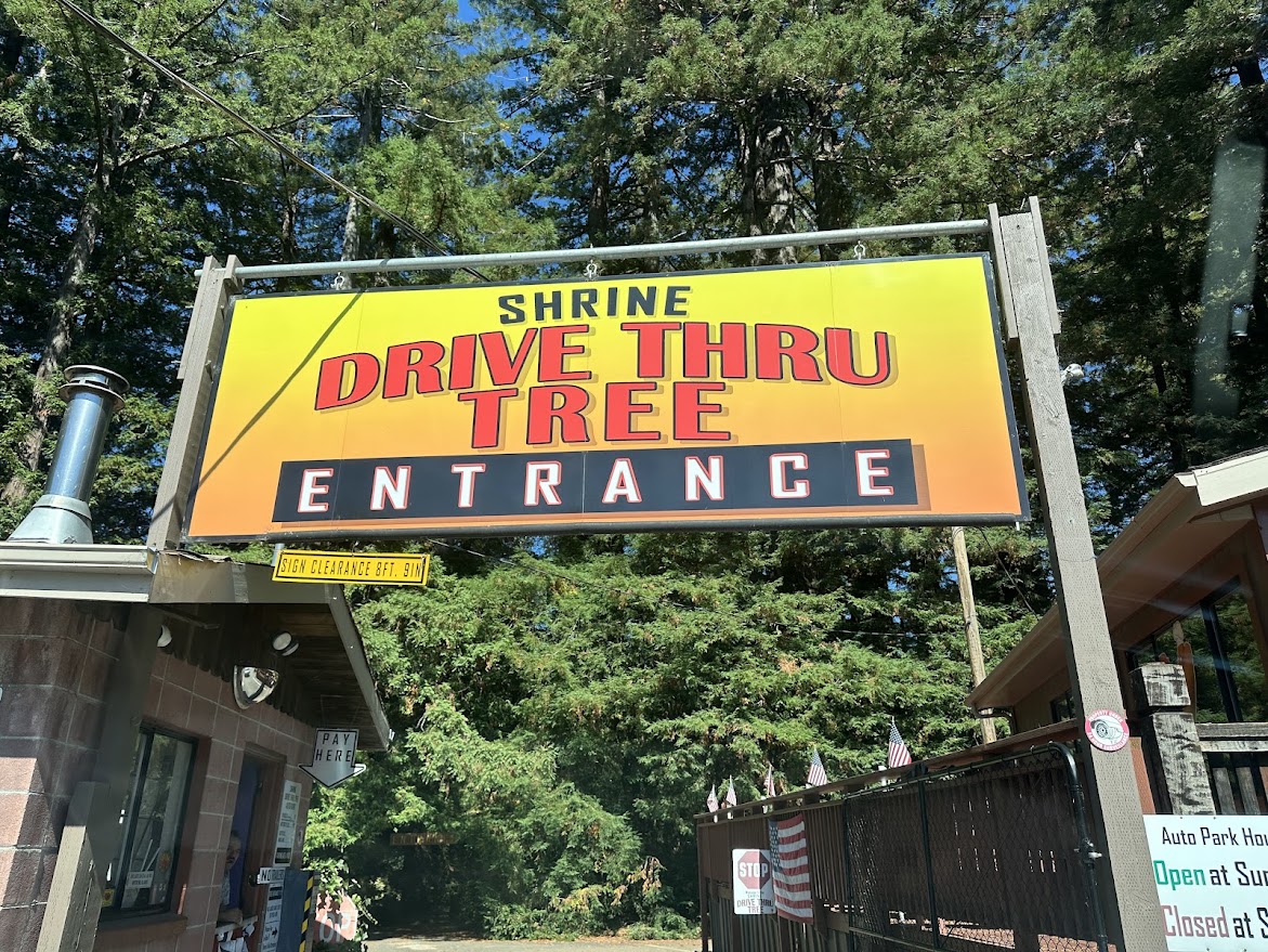 Shrine Drive-Thru Tree